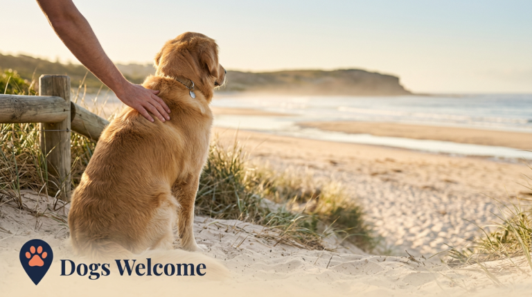 Best dog friendly beaches in Australia: what to check before you go