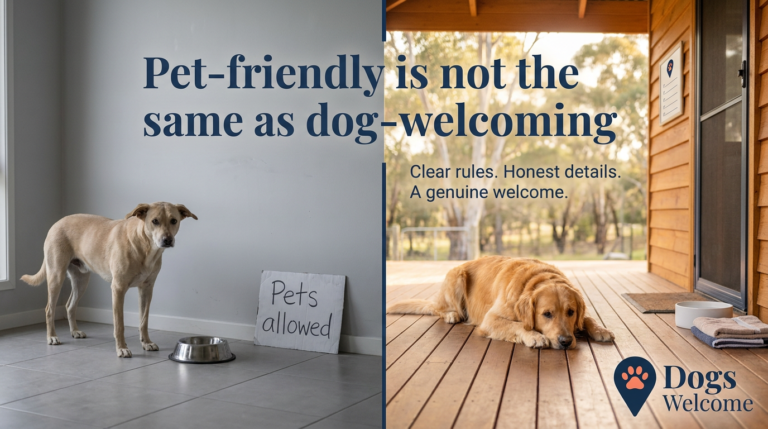 What makes a property truly dog-welcoming for travelling dogs and their owners