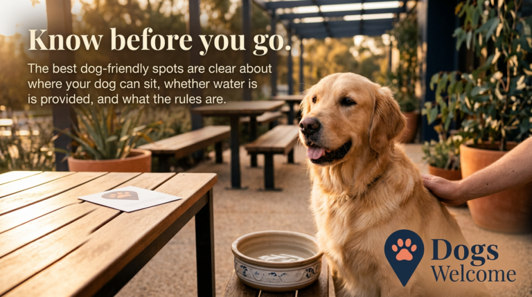 Dog‑friendly restaurants near me: what to check so there are no surprises