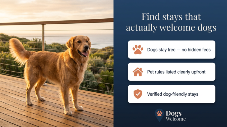 “Pet-friendly hotels near me”: the dog-first details that turn a rushed search into a confident booking