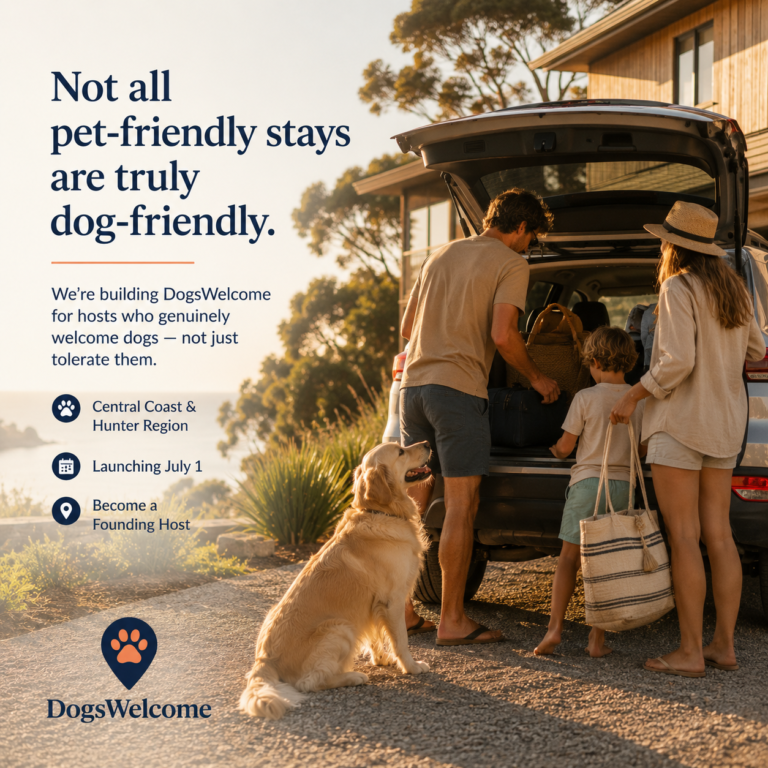 What dog owners should check before booking a stay that says pets are allowed