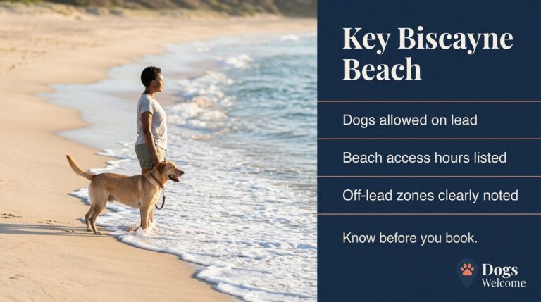 Key Biscayne Beach: Why Clear Rules Make Dog‑Friendly Stays Shine